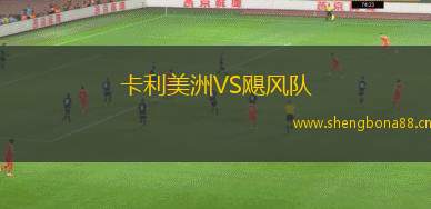 卡利美洲VS颶風隊
