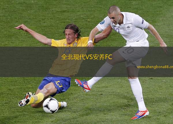全北現代VS安養(yǎng)FC