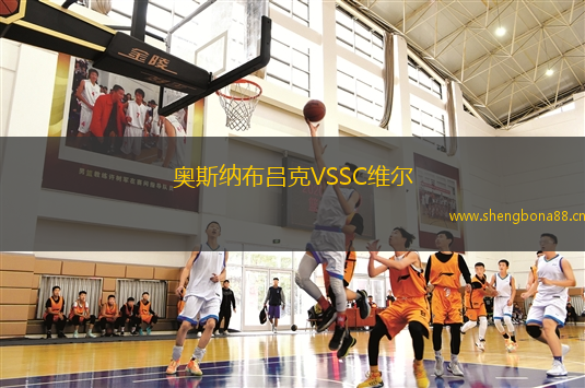 奧斯納布呂克VSSC維爾