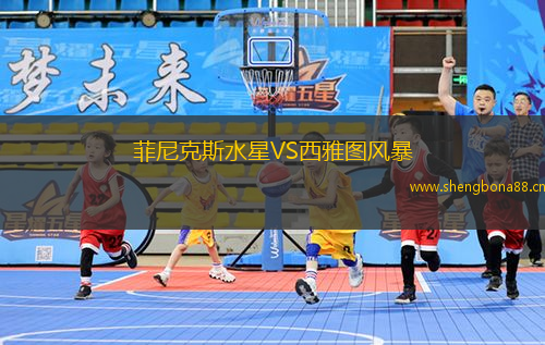 菲尼克斯水星VS西雅圖風暴