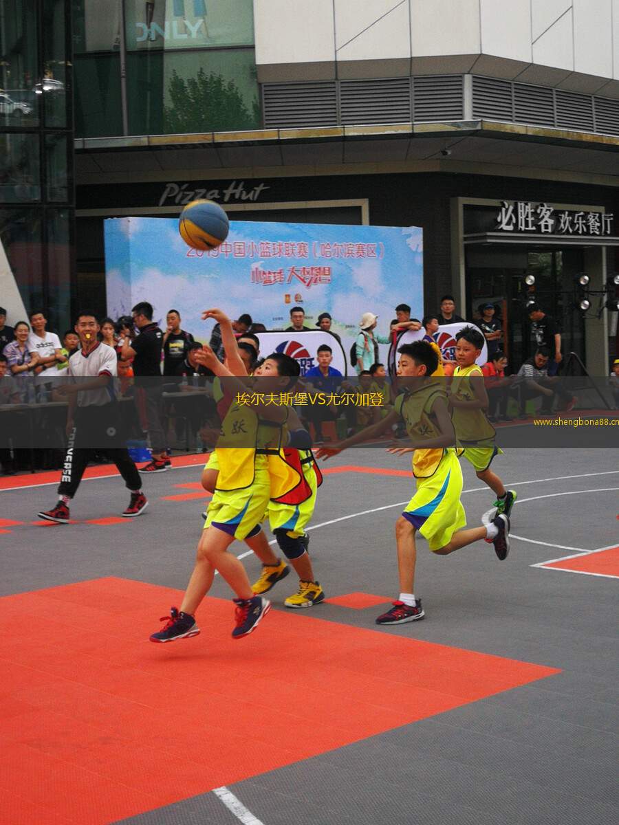 埃爾夫斯堡VS尤爾加登