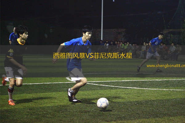 西雅圖風暴VS菲尼克斯水星