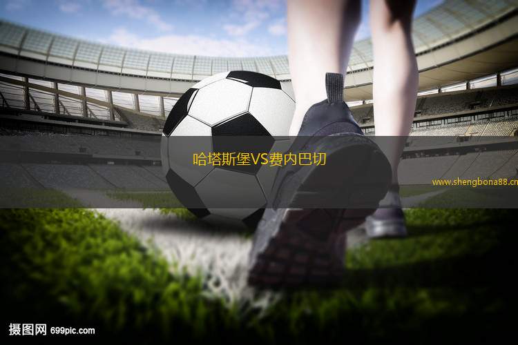 哈塔斯堡VS費(fèi)內(nèi)巴切