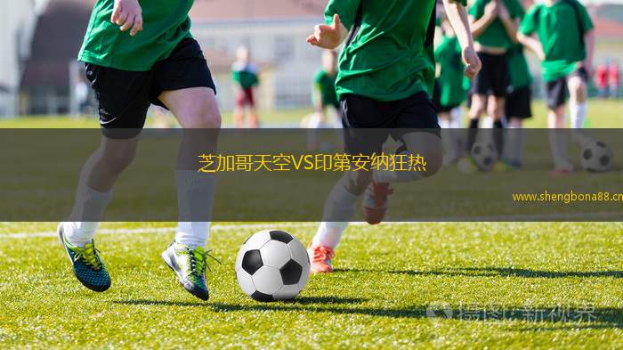 芝加哥天空VS印第安納狂熱