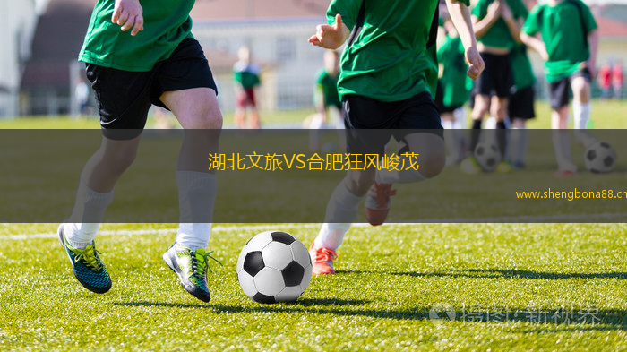 湖北文旅VS合肥狂風峻茂