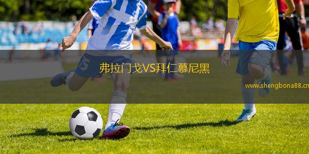 弗拉門戈VS拜仁慕尼黑