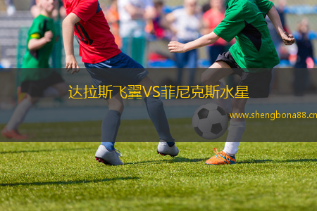 達拉斯飛翼VS菲尼克斯水星