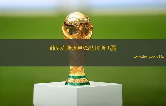 菲尼克斯水星VS達拉斯飛翼