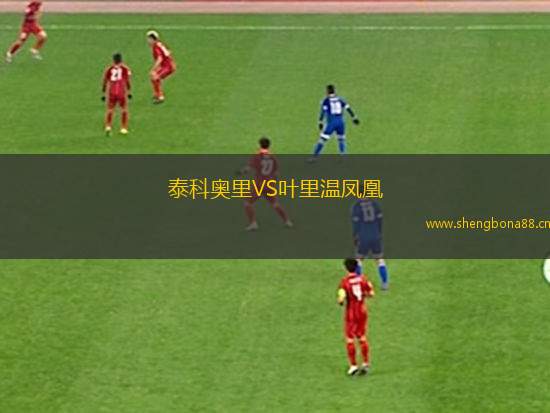 泰科奧里VS葉里溫鳳凰