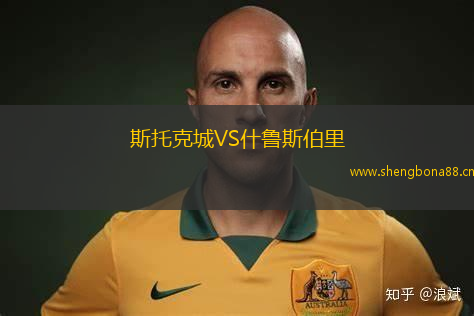 斯托克城VS什魯斯伯里