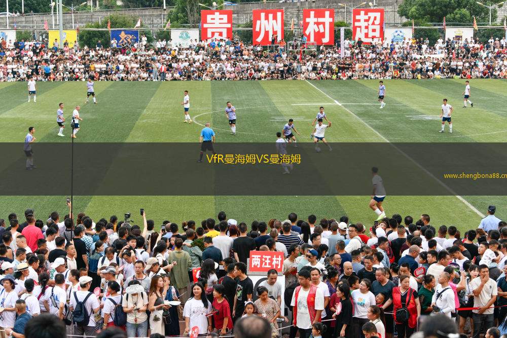 VfR曼海姆VS曼海姆