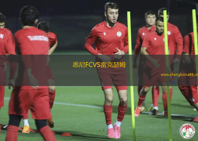 悉尼FCVS雷克瑟姆