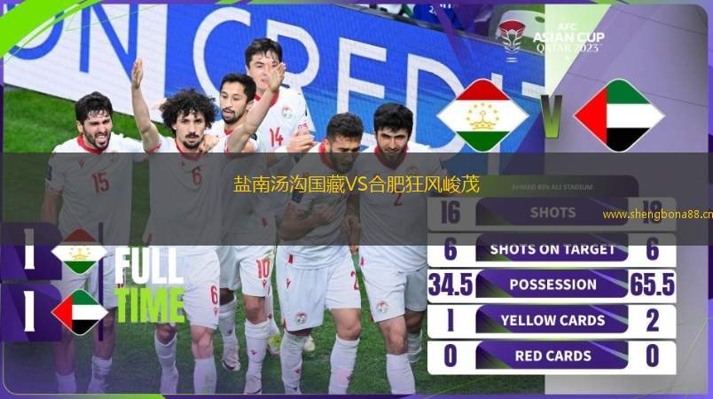 鹽南湯溝國藏VS合肥狂風峻茂